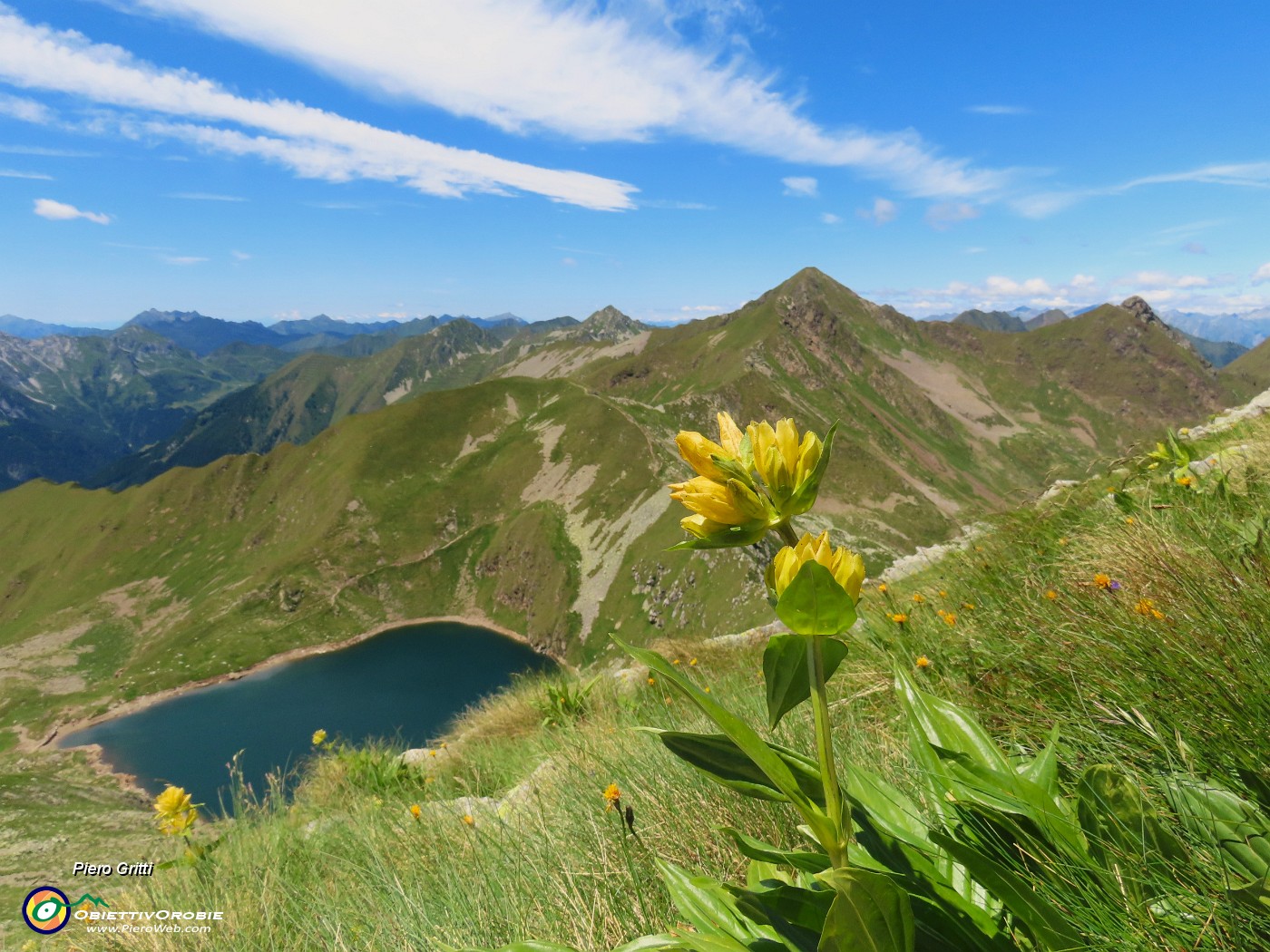 46 Bello il giallo della Gentiana punctata, come il blu scuro del Lago Moro.JPG